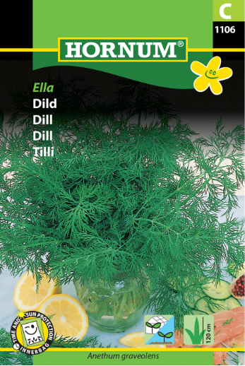 Dill 'Sari'