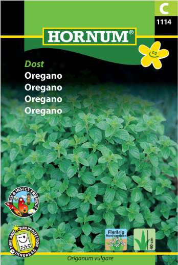 Oregano 'Dost'