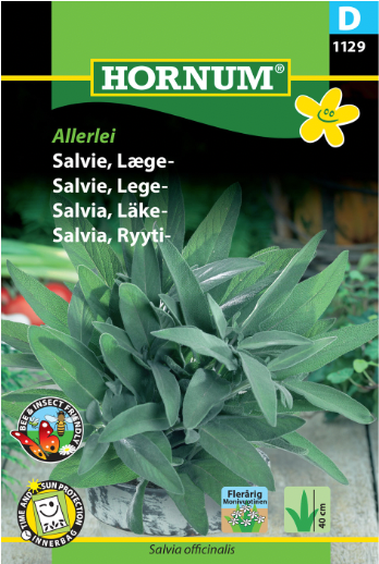 Salvie 'Allerlei'