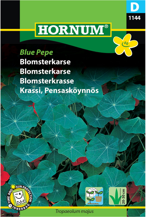 Blomkarse 'Blue Pepe'