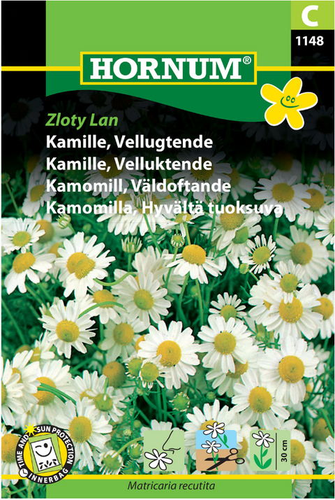 Kamille 'Zloty Lan'