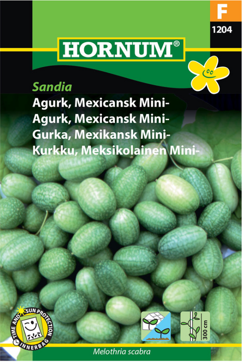 Agurk mini meksikansk 'Sandia'