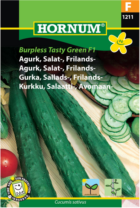 Agurk friland 'Burpless Tasty Green F1'