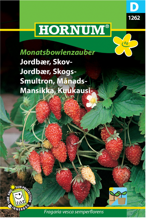 Jordbær 'Monatsbowlenzauber'