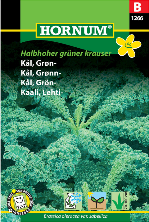 Grønnkål 'Halbhoher Grüner Krauser'
