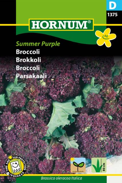 Brokkoli 'Summer Purple'