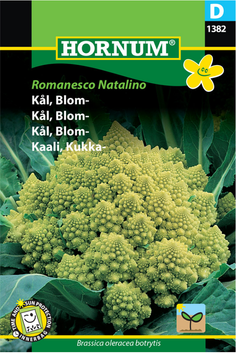 Blomkål 'Romanesco Natalino'
