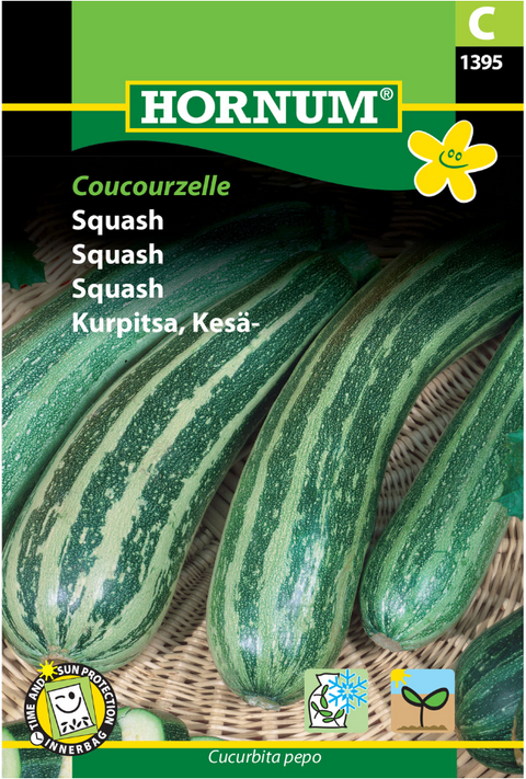 Squash 'Coucourzelle'