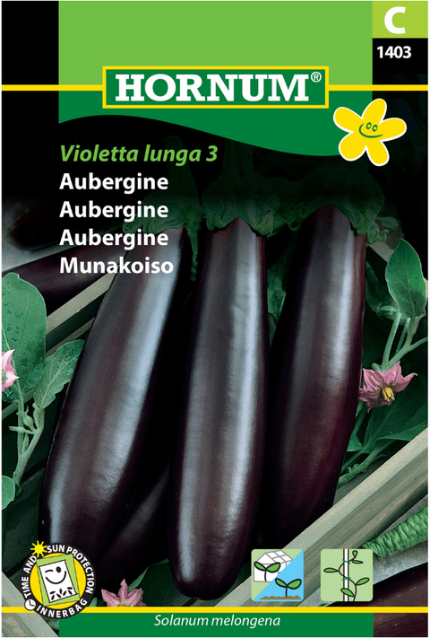 Aubergine 'Violetta Lunga 3'