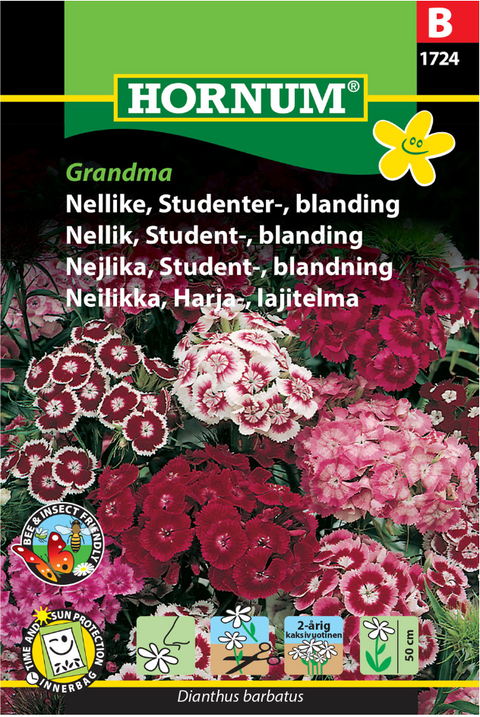 Nellik blanding 'Grandma'