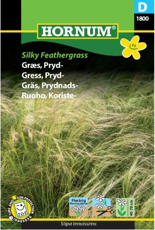 Prydgress 'Silky Feathergrass'