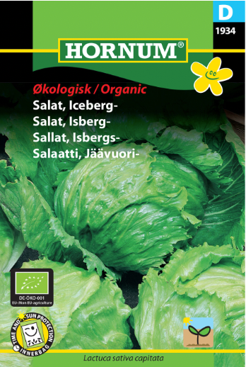 Isbergsalat Økologisk