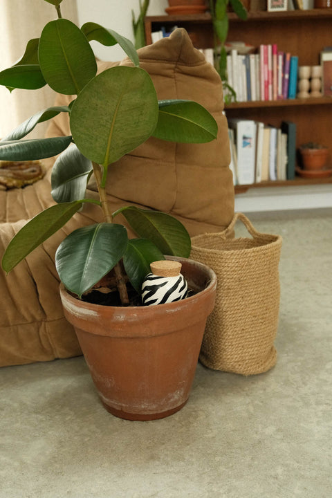 Håndlaget Olla selvvanning, zebra