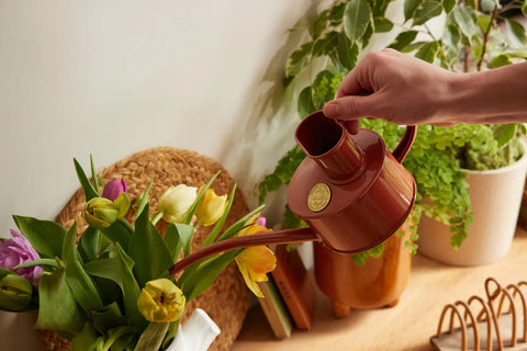 Vannkanne Terracotta 0.7L, Fazeley Flow