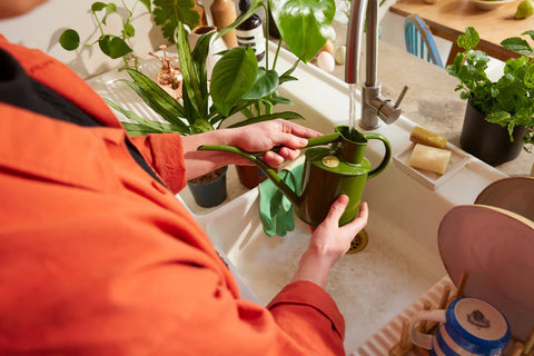 Vannkanne Fern green 1L, Fazeley Flow