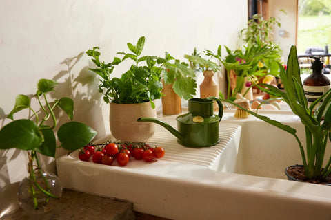 Vannkanne Fern green 0.7L, Fazeley Flow