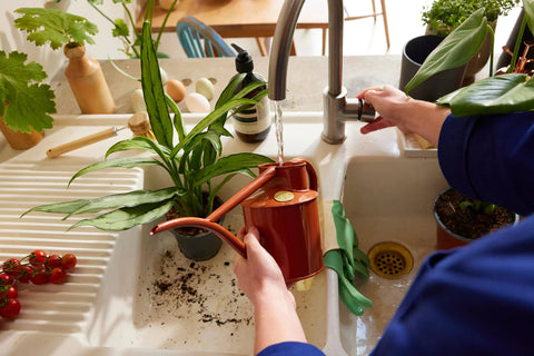 Vannkanne Terracotta 1L, Fazeley Flow