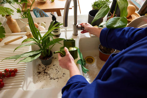 Vannkanne Fern green 0.7L, Fazeley Flow