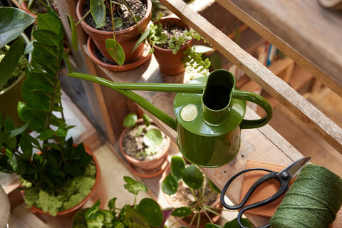 Vannkanne Fern green 1L, Fazeley Flow