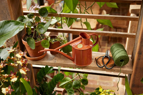 Vannkanne Terracotta 1L, Fazeley Flow