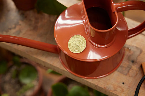 Vannkanne Terracotta 0.7L, Fazeley Flow