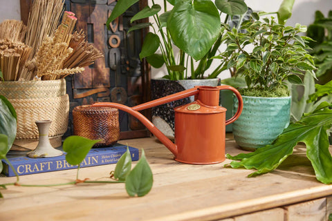 Vannkanne Terracotta 1L, Fazeley Flow