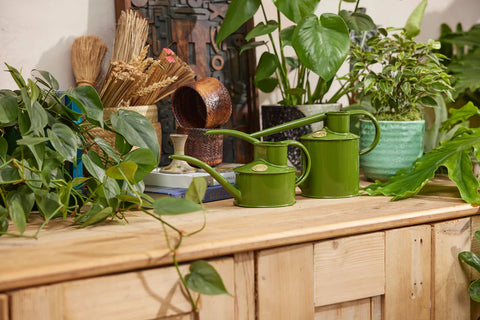 Vannkanne Fern green 1L, Fazeley Flow