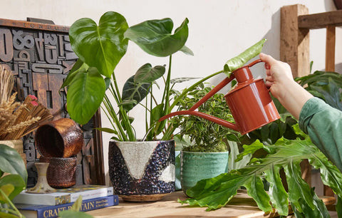 Vannkanne Terracotta 1L, Fazeley Flow