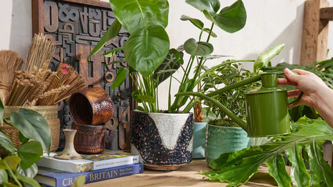 Vannkanne Fern green 1L, Fazeley Flow