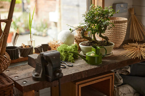 Vannkanne Fern green 0.7L, Fazeley Flow