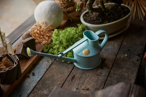 Vannkanne Lyseblå 0.5L, The Langley Sprinkler