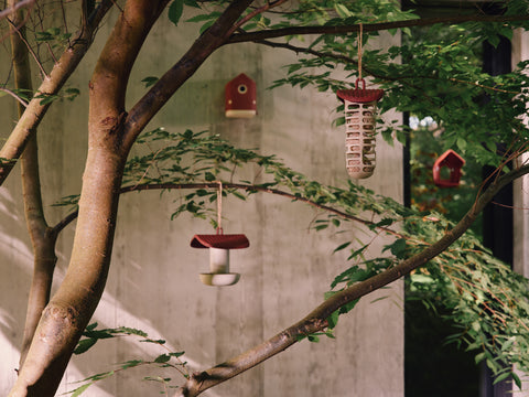 Fuglemater meisebolle Cosy tuscan red
