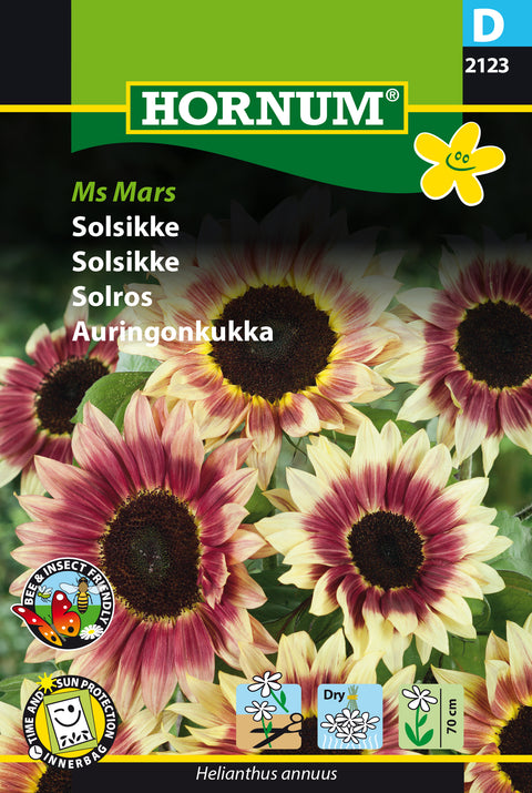 Solsikke 'Ms Mars'