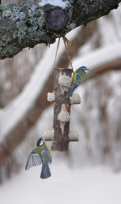 6pk Påfylling til fuglematerpinne med snor