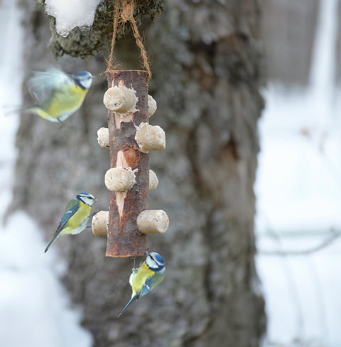 6pk Påfylling til fuglematerpinne med snor