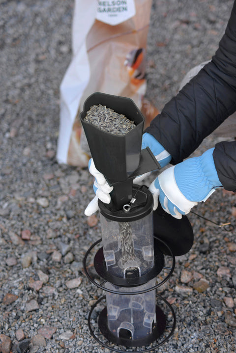 Fuglemater frø stylish