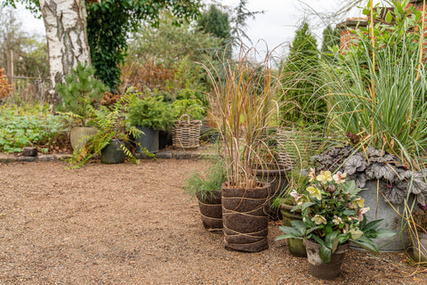 Dyrkningsduk i ull 120x80cm