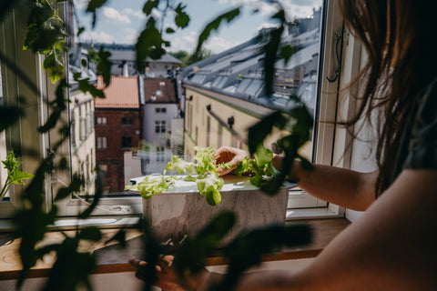 Harvy3 hydroponisk startpakke u/lys marmor