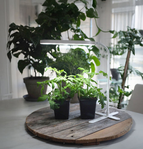 Plantelys LED pære 10W Single-head
