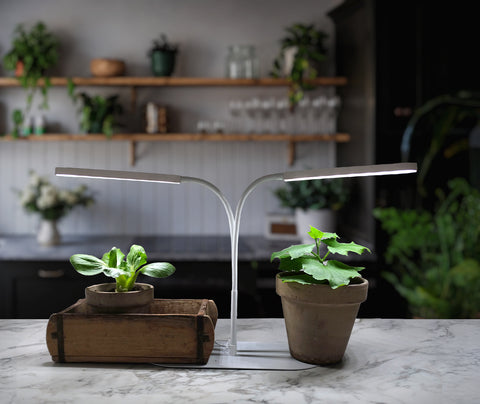 Plantelys LED pære 20W Dual-head