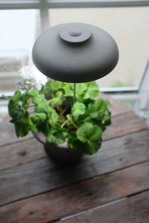 Plantelys LED pære 10W Rice-made