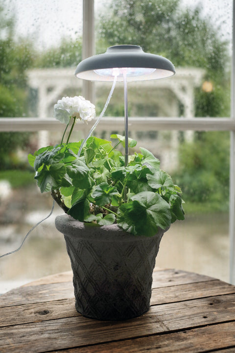 Plantelys LED pære 10W Rice