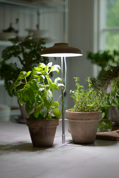 Plantelys LED pære 10W Rice