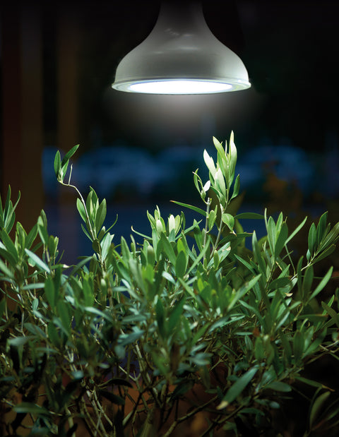 Plantelys LED pære E27 18W