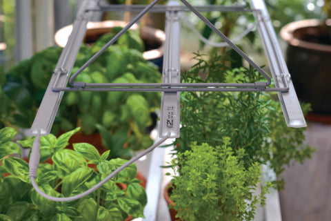 Startsett hengende vekstlys x 3