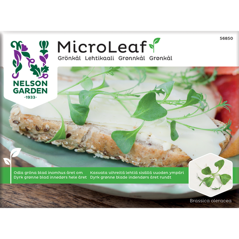 Grønnkål microleaf