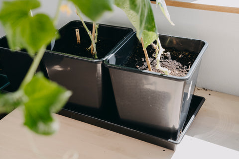 Plastpotte 25cm
