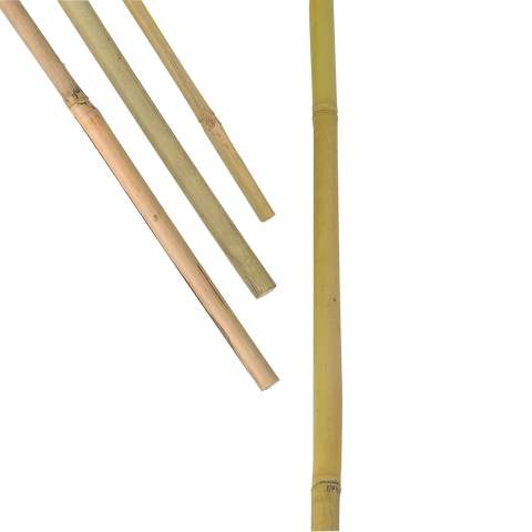 10pk Bambusstav 100cm