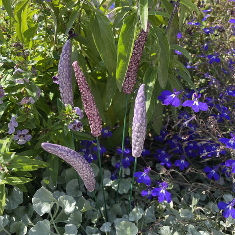Håndlaget keramisk blomst lavendel