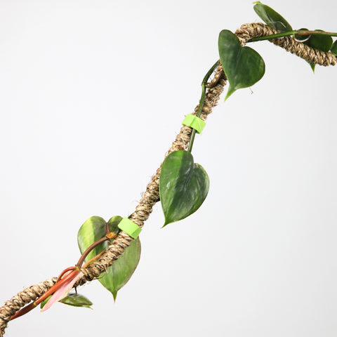 Gjenbrukbar oppbindingsbånd 6m